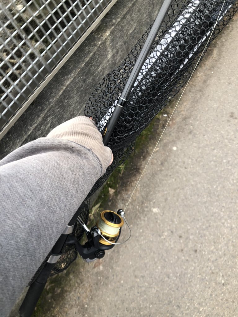 100GWFishing's tweet photo. Who’s going fishing this weekend? I’m out for the day lure fishing 🎣 #100gwfishing #fishing #angling #perch #pike #perchfishing #pikefishing #lurefishinguk #lureangler #predatorfishing https://t.co/bZNJ6w93iC