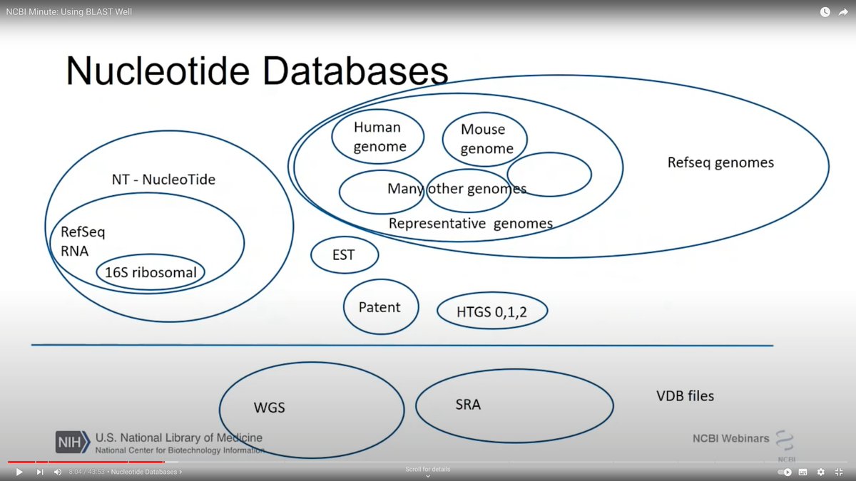 sujaik's tweet photo. If you've ever wondered EXACTLY what is in @NCBI nt and nr (I certainly have!)

From https://t.co/22JYTjPjJo and https://t.co/72whvhjXm8 (cued to the right spots in the video)

#Bioinformatics #Genomics https://t.co/5yQ3glLcYL