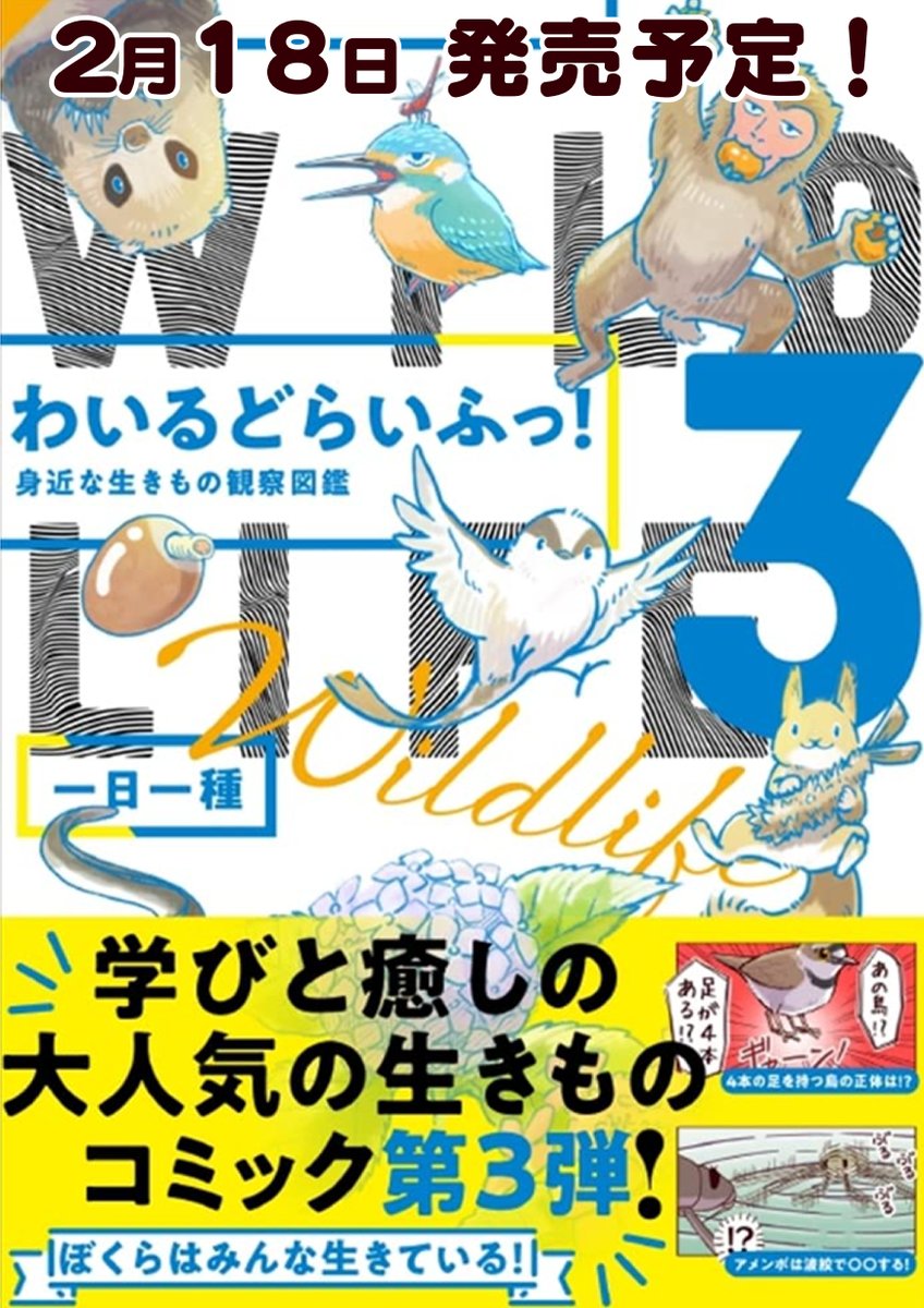 【新刊のお知らせ】🙇
漫画とも図鑑とも言えない「変な本」です
予約受付中→https://t.co/Nlztfj2q59
#わいるどらいふっ! 