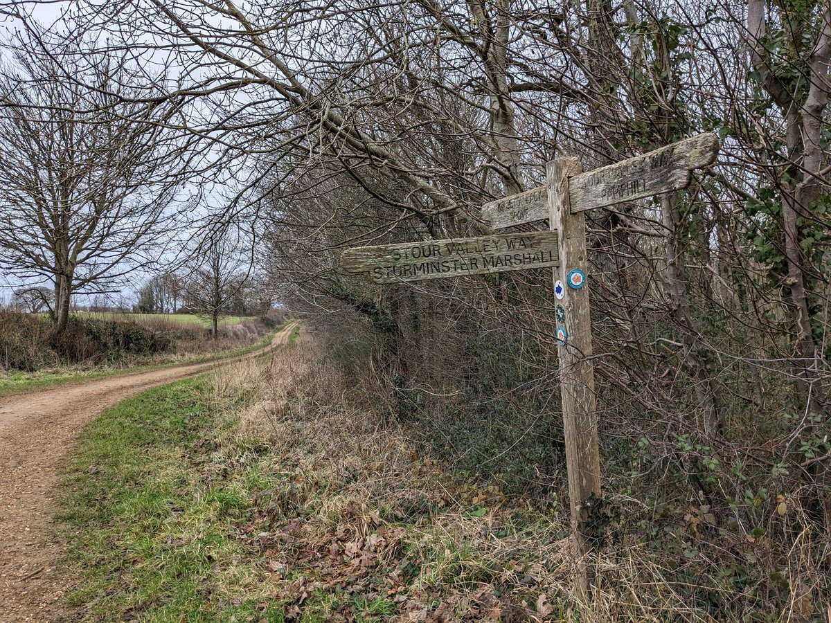 DebChall's tweet photo. A 7 mile walk done today around @NTKingstonLacy estate near Bradbury Rings and Wimborne to cover a bit more of the #HardyWay. Seeing signs of spring with the Snowdrops. https://t.co/s7krhPJlmF