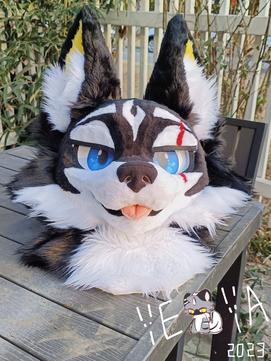 yeyajialan's tweet image. A cute husky 
@Garfi_LYLThis one is his master
#toony #fursuit #兽装 #fursuiter