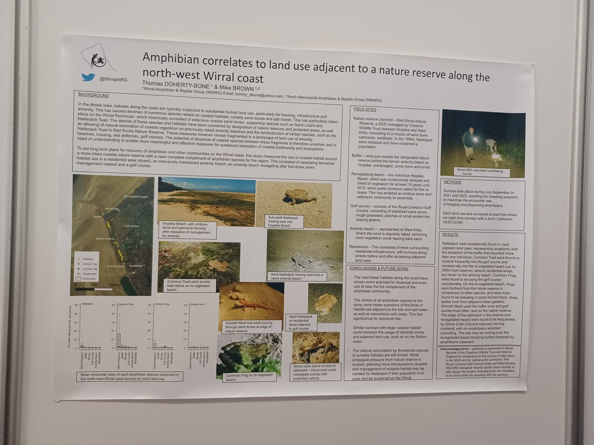 Now at the #HWM2023 at #Llandudno with our poster up on our work around Hoylake on amphibian habitat use along the coast. Please come have a chat to constructively pick it apart -> starter for 6, crabs vs toads.