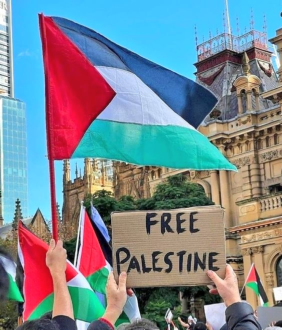 🐑 TiredLeftSpider. 🏴🚩💥 on Twitter: "RT @PalestineCultu1: Don’t stop