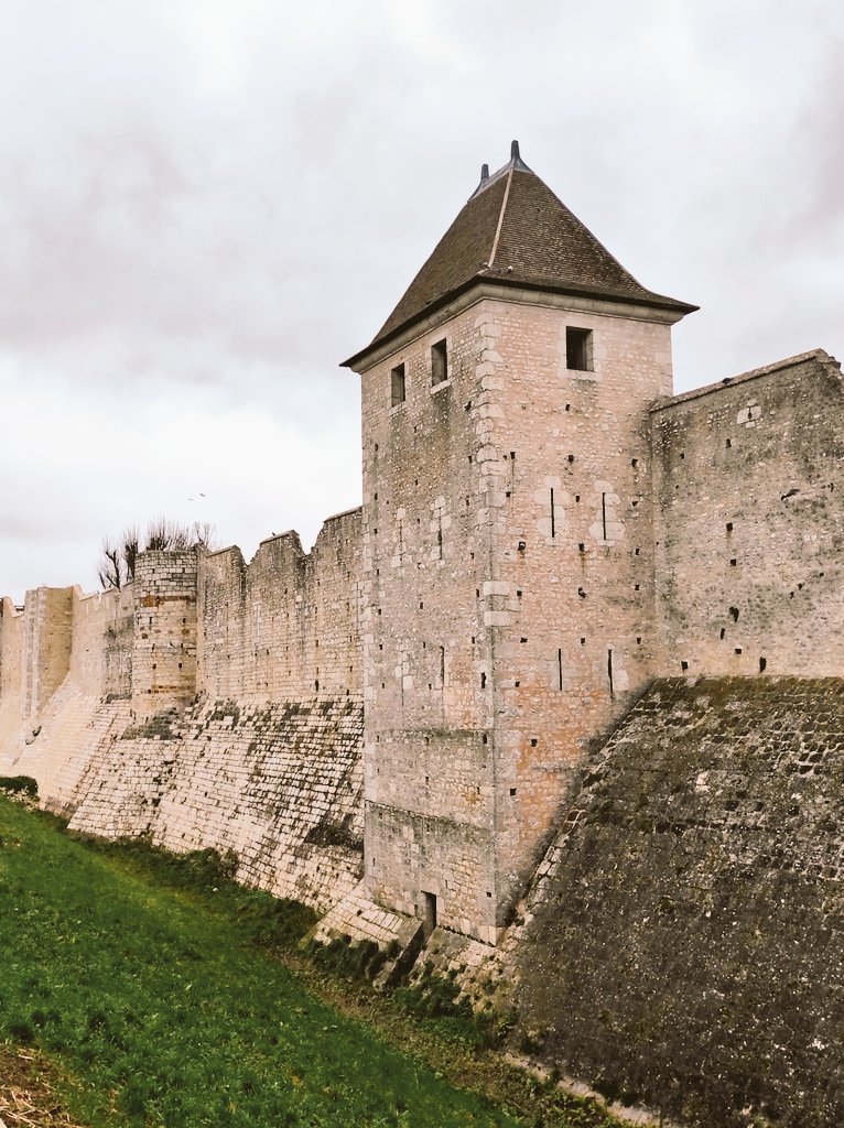 Prof_SVT_63's tweet photo. Merci @SVTAdour &amp; @g3erthelot pour cette super journée de formation autour de l'esprit critique dans la magnifique ville de Provins 👍🏰

@AcCreteil
@education_gouv https://t.co/iaxWnPcf5D