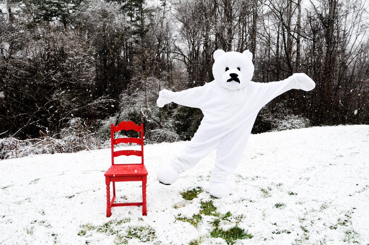 theredchairs's tweet photo. 🐻‍❄️ #raleigh #northcarolina #theredchair https://t.co/oPyF8P8KRp