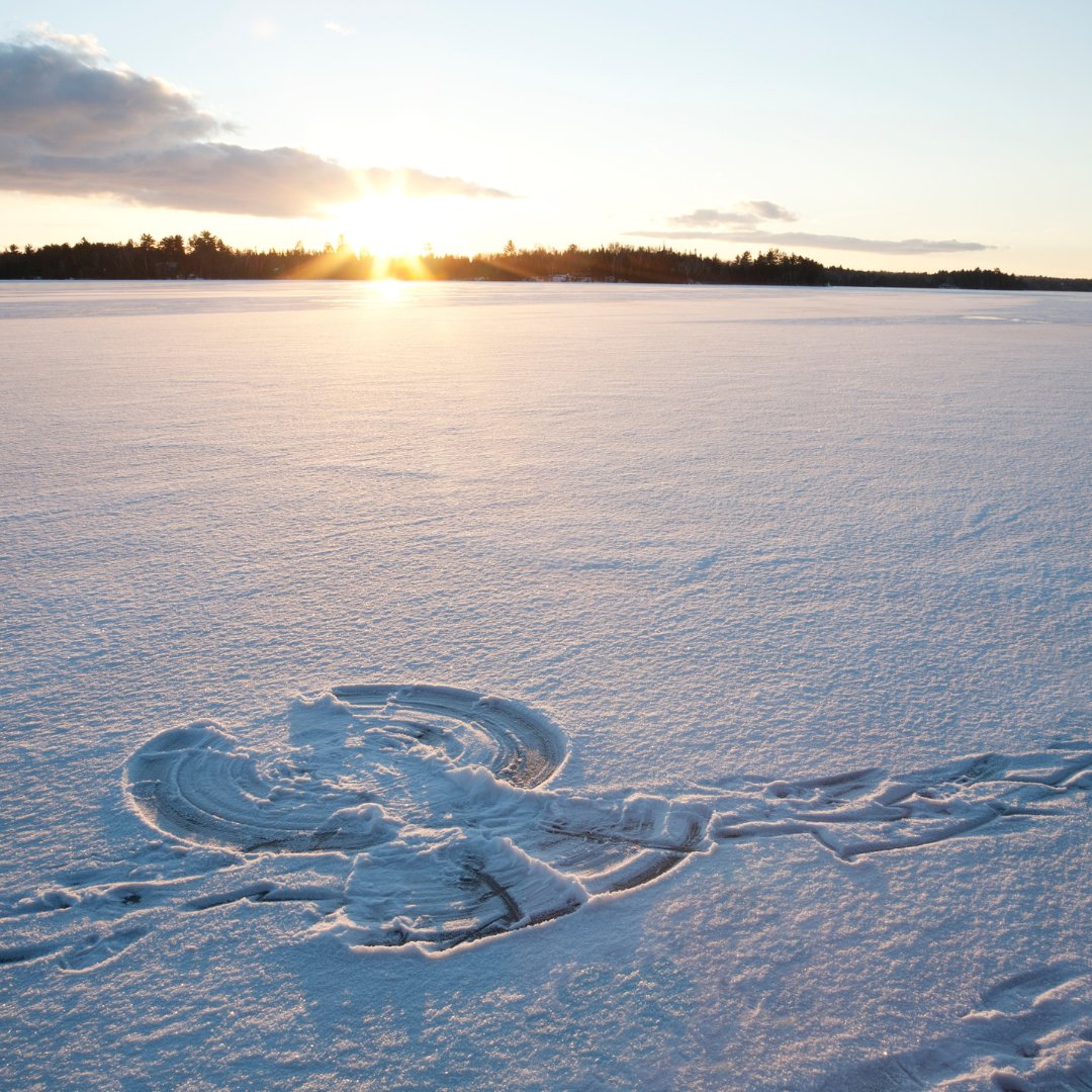 Town of Collingwood on Twitter " ️ With all this snow, maybe you need