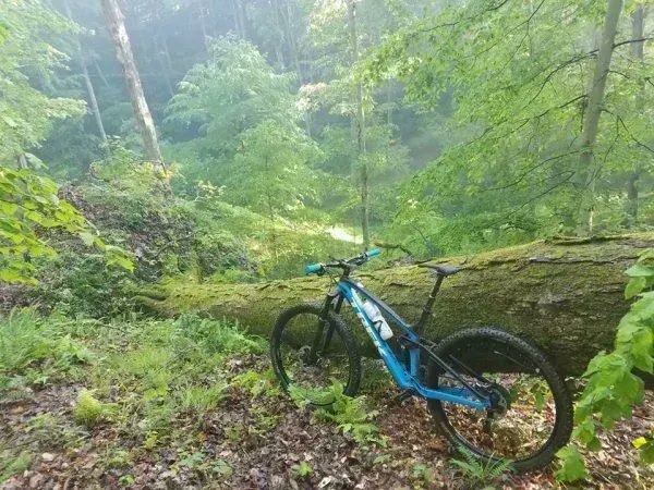 VisitIndiana's tweet photo. Are you looking for a hiking challenge? May I suggest a few? 

20 Places to Plan Your Next Outdoor Adventure in Indiana 😎 

𝐑𝐄𝐀𝐃 𝐌𝐎𝐑𝐄: https://t.co/KCE6QPXYui 

#visitindiana #INIndiana #INnature @INDNRstateparks @INdnrnews https://t.co/vwTMY3T5K5