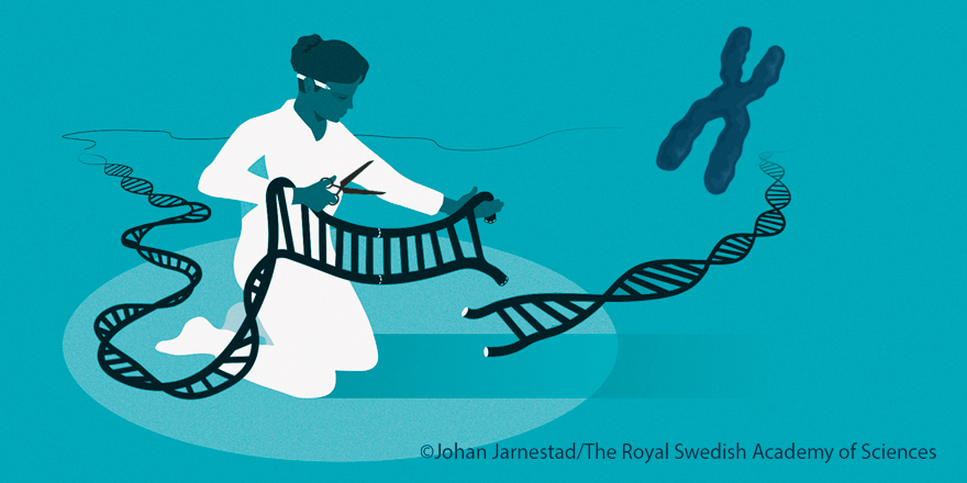 NobelPrize's tweet photo. The gene editor CRISPR-Cas9 is contributing to innovative cancer therapies and may make the dream of curing inherited diseases come true.

Emmanuelle Charpentier and Jennifer Doudna received the 2020 chemistry  prize for their research on CRISPR/Cas9.

#WorldCancerDay https://t.co/5ca7aZ0kXo