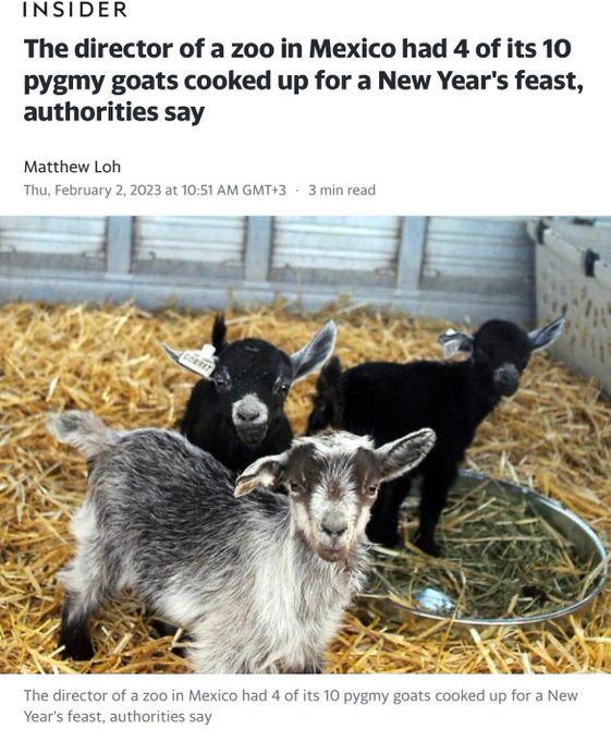 ���� ������� ����� ������ ������� FoIGxV4XwAAVvu2?form