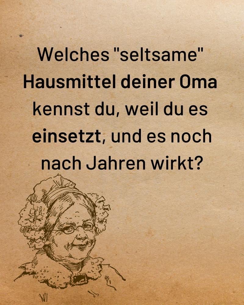 HansDampf tweet media
