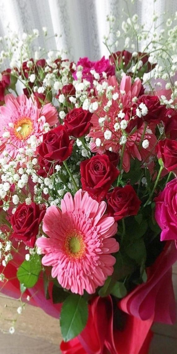 Momento (@magicnature0) on Twitter photo 