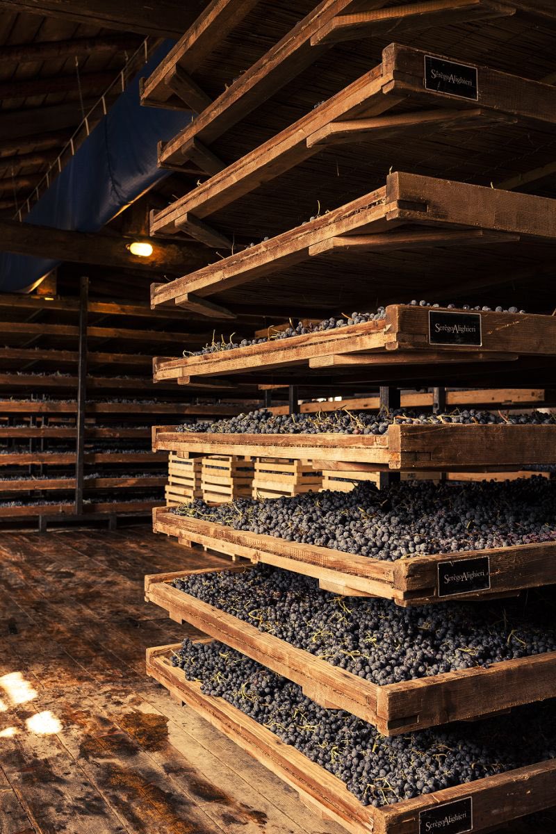 WineNewsIt's tweet photo. Il riconoscimento della #secolare #tecnica della #messaariposo delle #uve della #Valpolicella a #PatrimonioImmateriale #Unesco va di pari passo con crescita della Docg e del suo #territorio, 8.600 ettari in 19 Comuni, tra la #zonaClassica, #Valpantena e Doc #Valpolicella https://t.co/JwMes67FL9