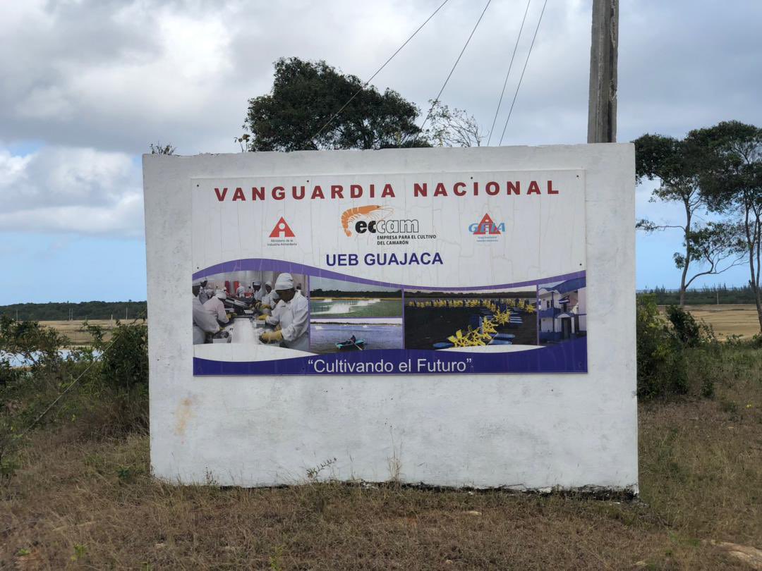 yurisley_valdes's tweet photo. Soluciones innovadoras desde la @UniversidadMoa encaminadas al incremento de producción y eficiencia energética en la UEB productora de Camarones Guajaca @MEP_CUBA @DiazCanelB @FonsecaAdonis @ErnestoSV8 @alexeimtnez79 @ondinaleon @EnergiaMinasCub @BreffTurro @ElbaRosaPM https://t.co/CLjiIOsHza
