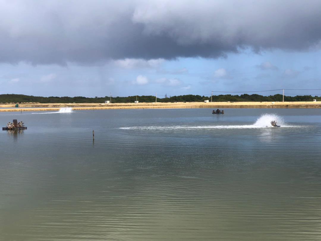 Soluciones innovadoras desde la <a href="/UniversidadMoa/">Universidad de Moa Dr. Antonio Núñez Jiménez</a> encaminadas al incremento de producción y eficiencia energética en la UEB productora de Camarones Guajaca <a href="/MEP_CUBA/">Ministerio de Economía y Planificación de Cuba</a> <a href="/DiazCanelB/">Miguel Díaz-Canel Bermúdez</a> <a href="/FonsecaAdonis/">Adonis Núñez Fonseca</a> <a href="/ErnestoSV8/">Ernesto Santiesteban Velázquez</a> <a href="/alexeimtnez79/">Alexei Martinez Mora</a> <a href="/ondinaleon/">ondinaleon</a> <a href="/EnergiaMinasCub/">Ministerio de Energía y Minas Cuba 🇨🇺</a> <a href="/BreffTurro/">Alberto Turro Breff</a> <a href="/ElbaRosaPM/">Elba Rosa</a>