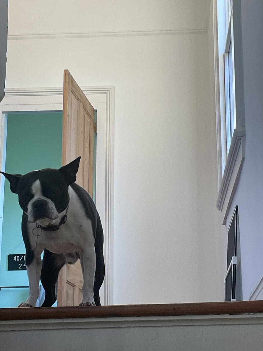 Maybell Romero tweet media