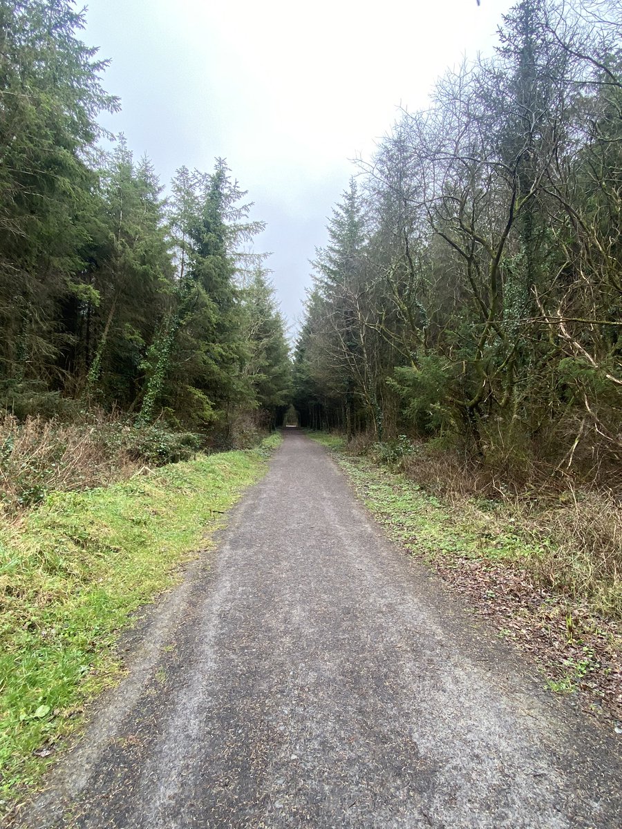 jackiemcguin's tweet photo. Day 35/1496 of #100daysofwalking #1500daysofwalking drizzle accompanied me on today on the Carney loop walk. Benbulben was barely visible unfortunately #365crew @SligoWalks https://t.co/TwHZtKszk6