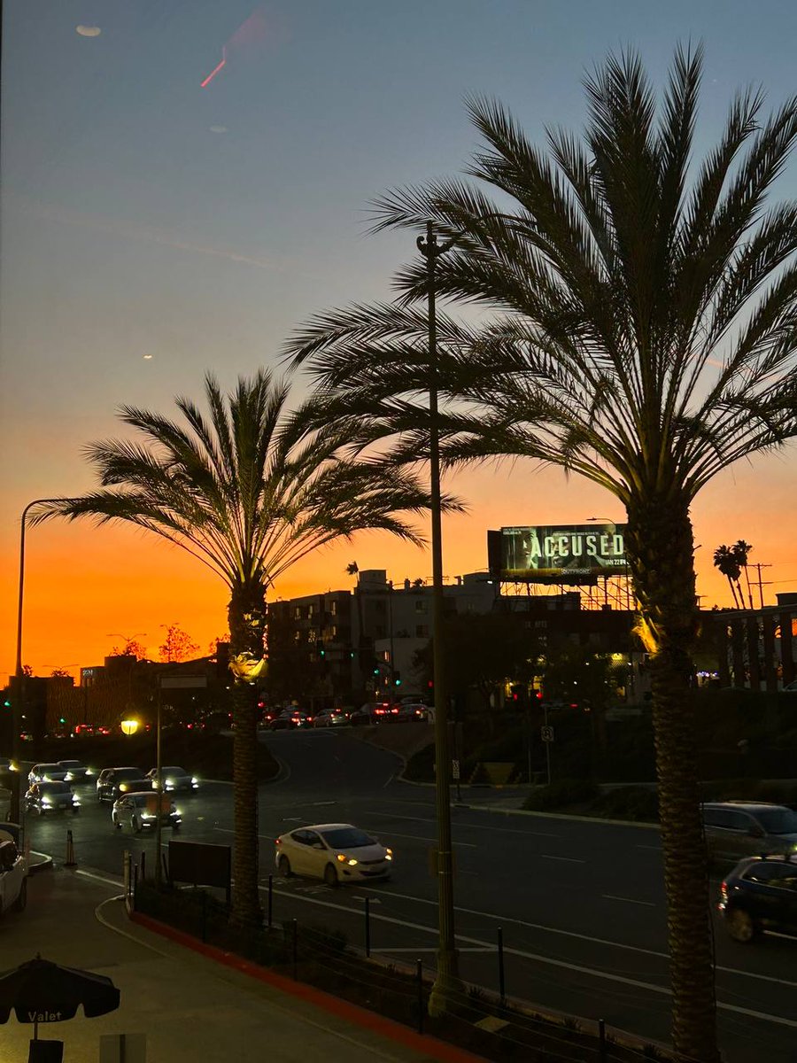 palisadeterrace's tweet photo. Miss LA 🤩💞 https://t.co/nKgitMK1IN