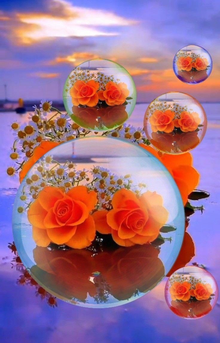 Momento (@magicnature0) on Twitter photo 