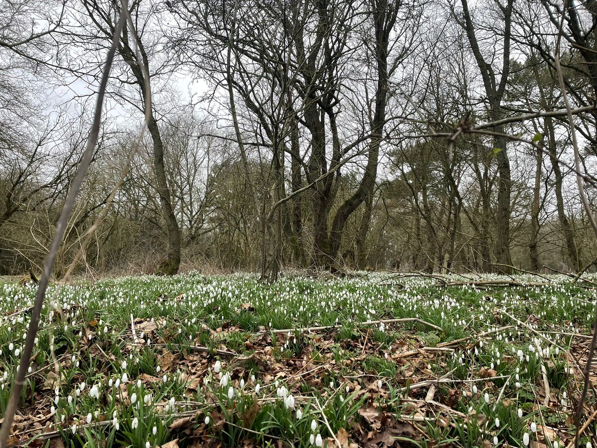 rovers_cc's tweet image. Rovers Saturday Crew ride out to The Peartree Pantry. #Colchester #cycling #SaturdayCrew