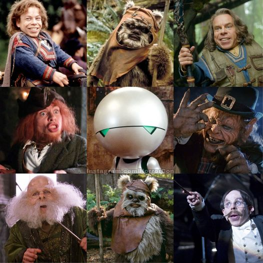 Happy 53rd Birthday to Warwick Davis! 