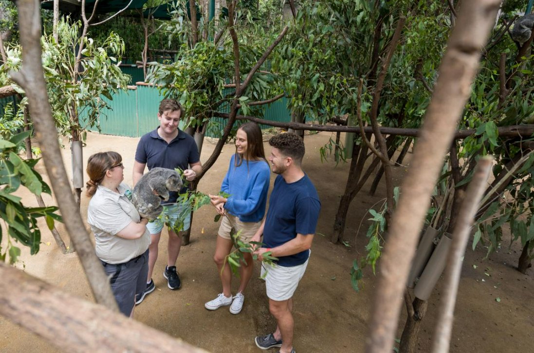 Lee sobre los logros alcanzados este año, descubre el modo en que los clubes marcan la diferencia, escucha a los donantes explicar por qué contribuyeron a La Fundación Rotaria, encuentra información financiera relevante y más en el último informe anual: on.rotary.org/3WYEoEJ