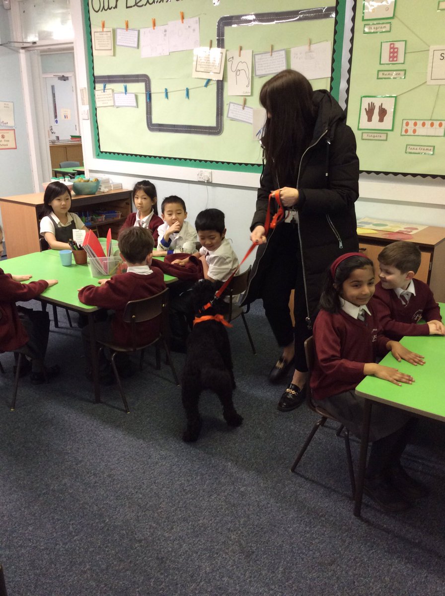 TyntesfieldCM's tweet photo. We had a very exciting visitor today. Herman was a hit! The children were super quiet and made him feel very welcome. https://t.co/juZoJsddRq