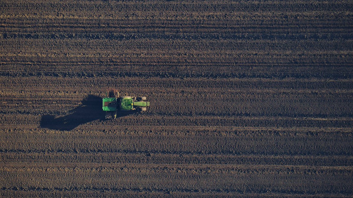 Te pregunta #Twitter que está pasando , pues no ves un tractor plantando almendros a raíz desnuda .
#dron #dronephotography