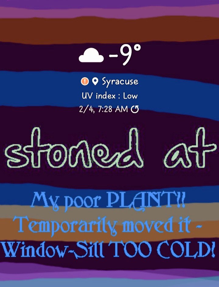 amity_alpha's tweet photo. Night before last night, yesterday, & last night; this morning & now: IT IS WAY, WAY BELOW FREEZING NOW, I had to take my plant off the window sill cuz the cold might damage it. This morning at 8am it was -9° Fahrenheit BEFORE you factored in the Windchill Factor!! #supercold 🥶 https://t.co/kXUWvAlIN5