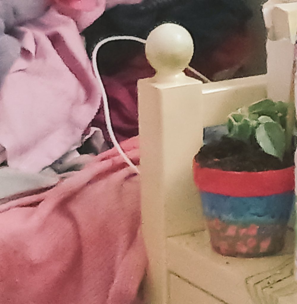 amity_alpha's tweet photo. Night before last night, yesterday, & last night; this morning & now: IT IS WAY, WAY BELOW FREEZING NOW, I had to take my plant off the window sill cuz the cold might damage it. This morning at 8am it was -9° Fahrenheit BEFORE you factored in the Windchill Factor!! #supercold 🥶 https://t.co/kXUWvAlIN5