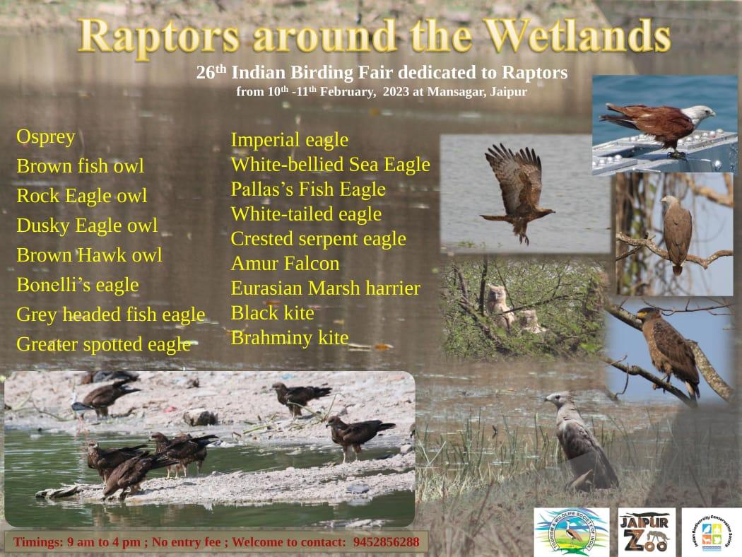 nishita_tannk's tweet photo. Know the importance of raptors at 26th Indian birding fair🦅.
#TWSI @ParveenKaswan @DRMJaipur @AshokKhemka_IAS @AwanishSharan @BonnConvention @dabi_tina https://t.co/x28BmudpFl
