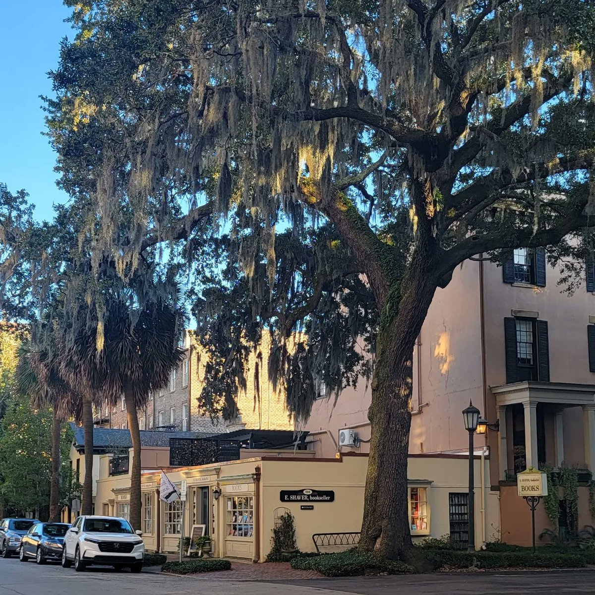 Author visits rock! Especially when they take you back to your home town. I had a blast with the students at Savannah Christian Prep talking about kind words and signing a whopping 117 BOOKS! 😍 (Thanks @AuthorVisitCen )