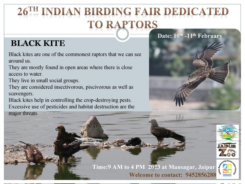 nishita_tannk's tweet photo. Know the importance of raptors at 26th Indian birding fair🦅.
#TWSI @ParveenKaswan @DRMJaipur @AshokKhemka_IAS @AwanishSharan @BonnConvention @dabi_tina https://t.co/x28BmudpFl