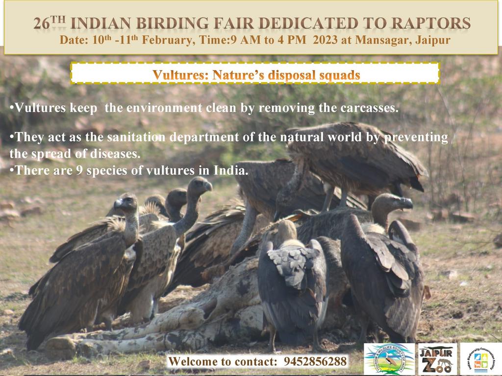 nishita_tannk's tweet photo. Know the importance of raptors at 26th Indian birding fair🦅.
#TWSI @ParveenKaswan @DRMJaipur @AshokKhemka_IAS @AwanishSharan @BonnConvention @dabi_tina https://t.co/x28BmudpFl