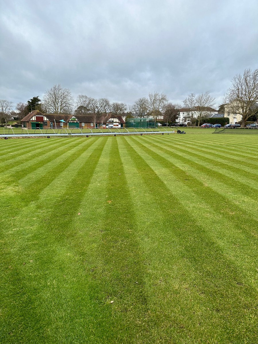 Burgess Hill Cricket tweet media