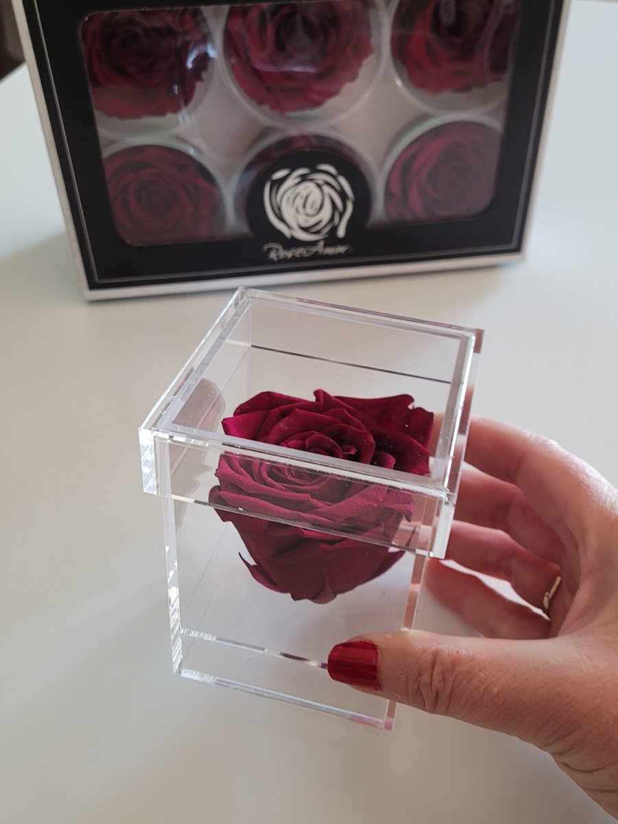 Now only $13.99; Single real preserved rose in acrylic box etsy.me/3wW9KkQ #roses #mothersday #floragifts #flowerforher #valentinesdaygiftidea # #singlerosebox #giftformom #giftidea #redroses #smallgiftidea #preservedroses #acrylicrosebox