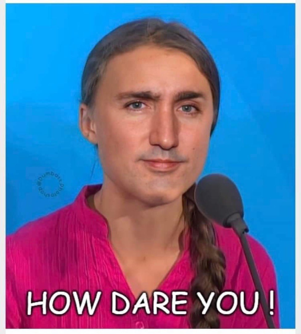 DRC 🇨🇦🍎 tweet media