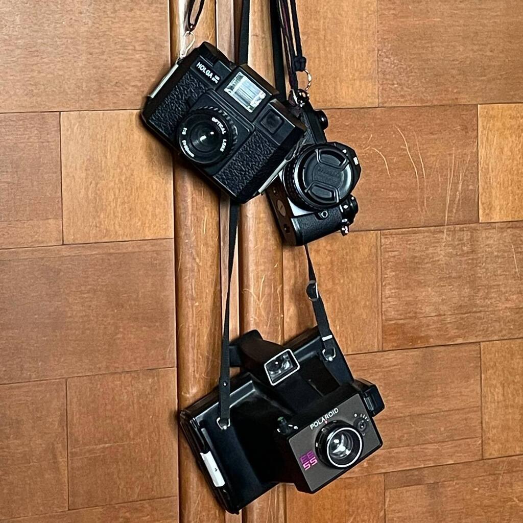 bastet's tweet photo. – Ehi, Lady: interesting equipment…
– Yes, I know.

#nikonem #holga #polaroidee55 https://t.co/ZS5AvLz1dn https://t.co/KdrINJkPmy
