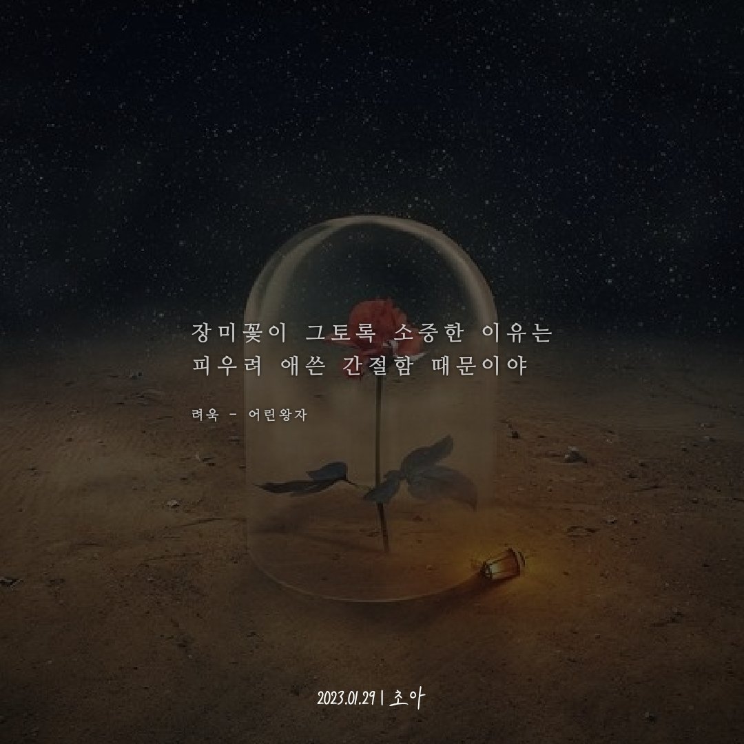 간절함.
#글귀 #좋은글 #예쁜글 #감동글