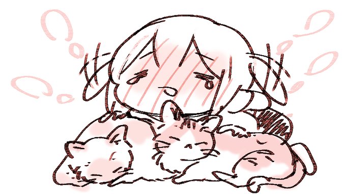 ニャンコさんに いつまでもしあわせにねーって げんきでねーってメッセージもらってうれしくてなみだでた🥲ないちゃうよー うれしいね  いっぱいしあわせにしなきゃー🐱🐱もふもふもふー 