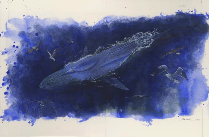 科学絵本『クジラの進化』のイラストレーション 