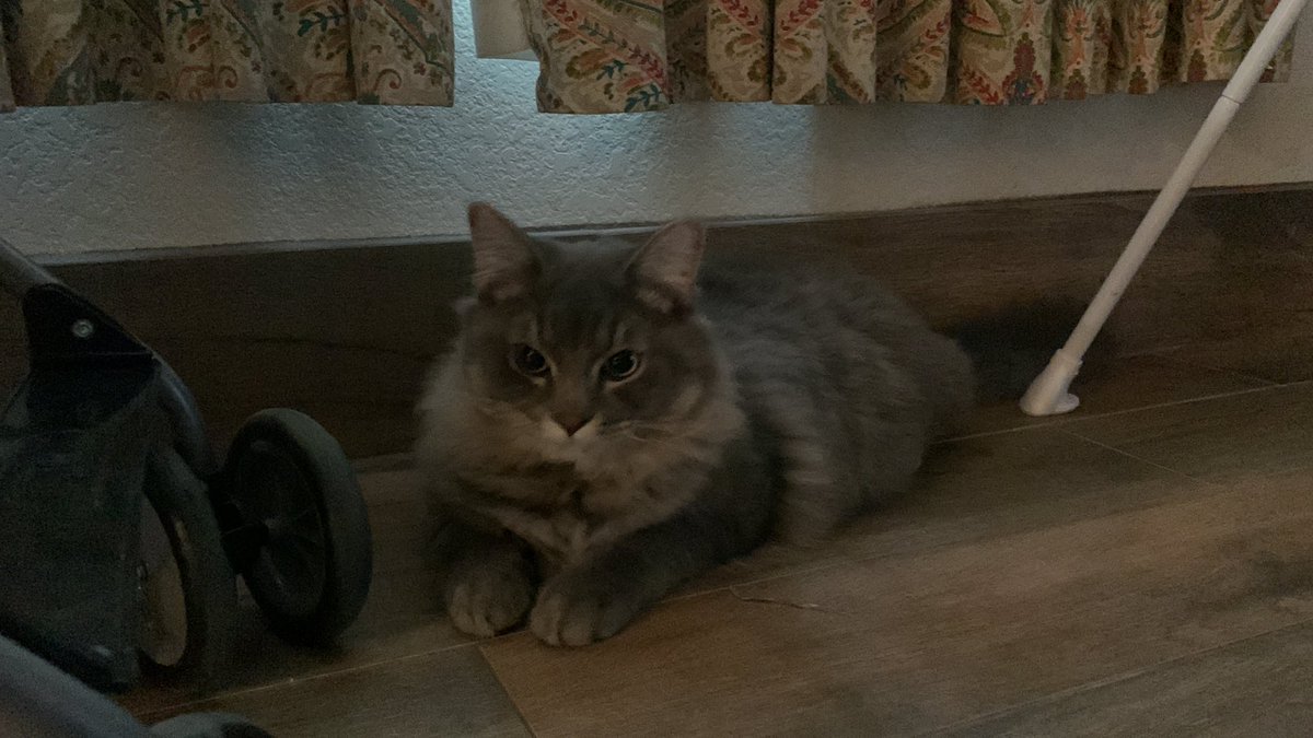 fan for things tweet media