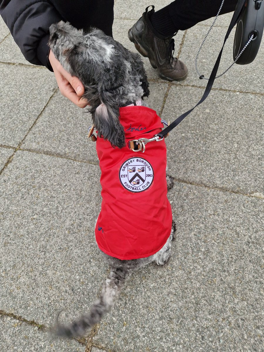 Grimsby Borough F.C. tweet media