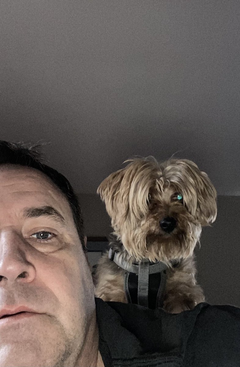 Bootheoneeyeca1's tweet photo. My brother is an attention hog! 🙄 https://t.co/hagkXD4WZT