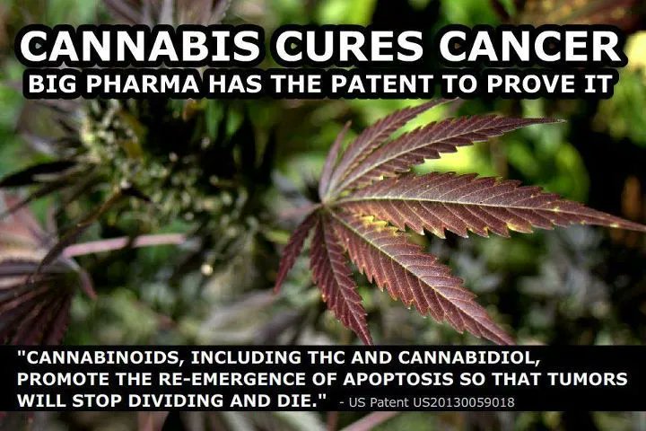 JaphyRyder32's tweet photo. #WorldCancerDay #TIME 2 #END #Criminal #PROHIBITION, & the #GREED #fueled #LIES, which lead only to needless #suffering and #DEATH. #Genesis1 #FREEtheWEED #BADLAWS #BigPharma #conspiracies #KOREA #Asia #Universal #Health #Liberation #Miracle #HERB #Hemp4Victory #CURES #WWRHD? https://t.co/DsSs29oFbn