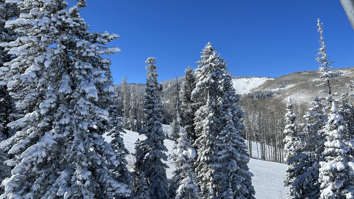 CharterSports's tweet photo. Here's some of what you've been missing over at Beaver Creek, wow, the powder has been fantastic.  Stop in and say hi!  We'll be seeing you at the Beav!

#beavercreek #avoncolorado #snowday #snow #colorado #skishop #chartersports #love #bluesky #powdersnow https://t.co/heZEvgZLoO