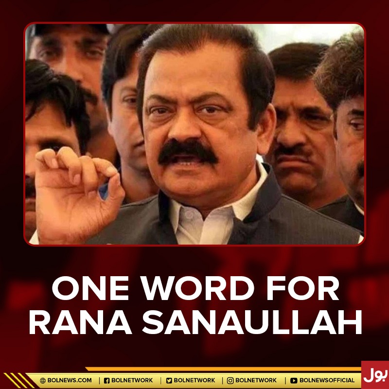 BOL Network tweet media