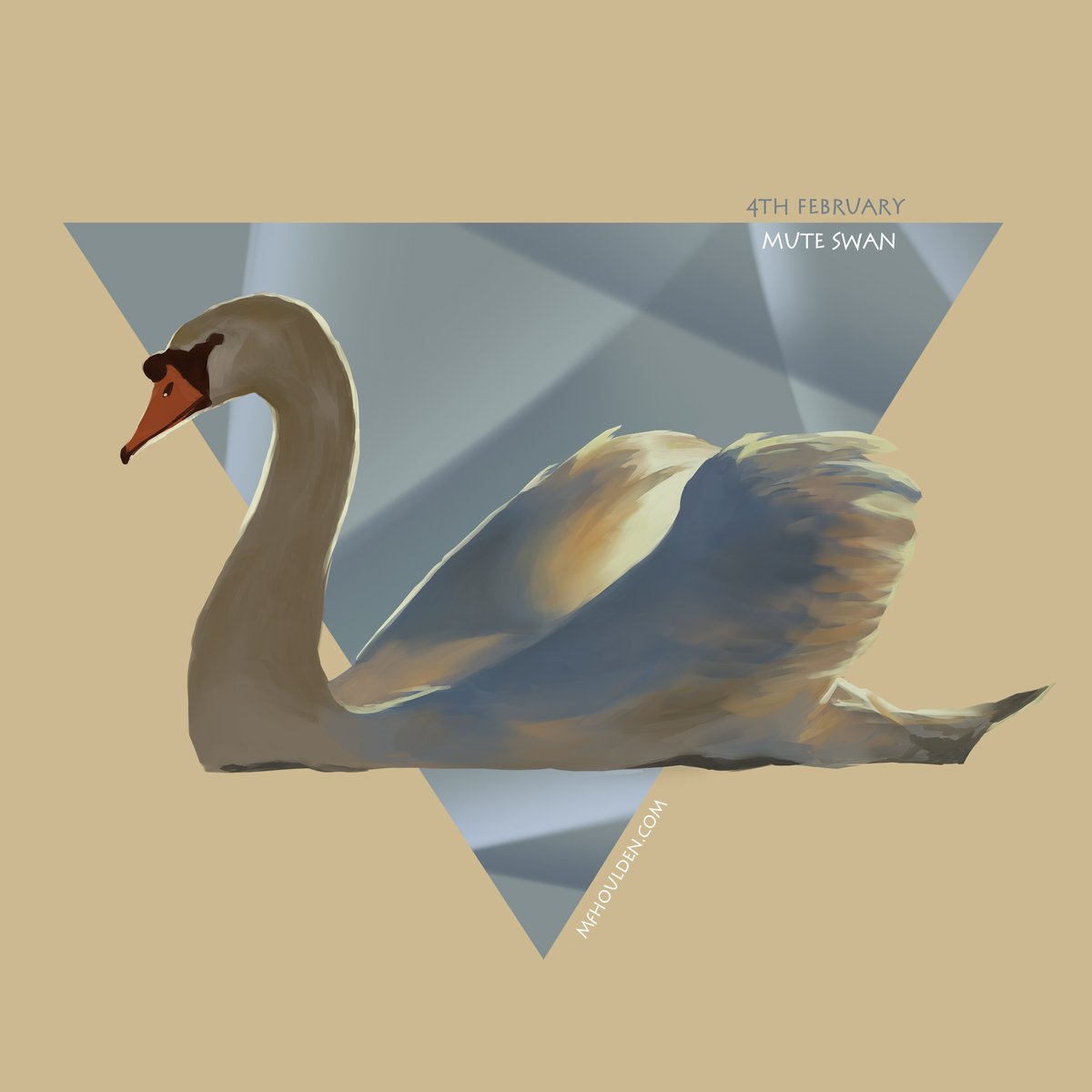 Day ... *looks* 35 of 365 - Bird a Day 2023 - February 4th - Mute Swan #art #noai #humanartist #digitalart #natureart #artnature #birds #bird #swan #biodiversity #nature #saveourbirds #cute #artistsoftwitter #digitalart #naturepainting