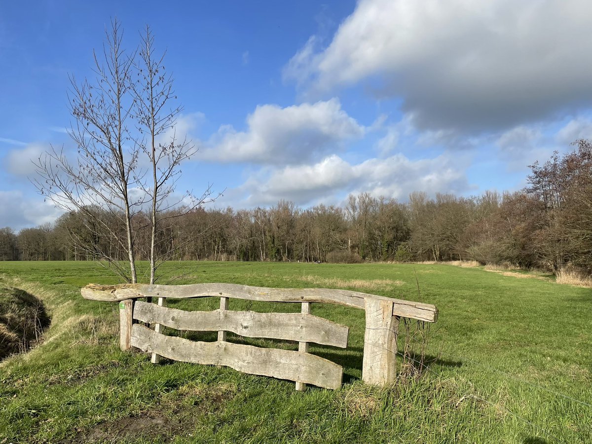 GastEllen's tweet photo. Het voelde als lente vandaag op het #twentepad 
Samen met @WaandersR wandelde ik van Oldenzaal naar Saasveld. https://t.co/6IFhbNpz7h