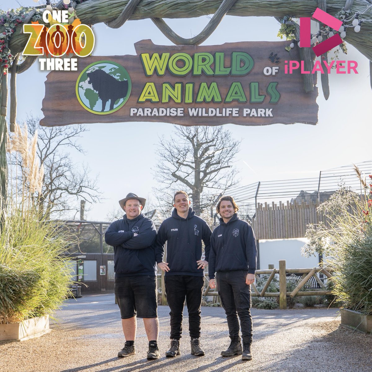 HertsZoo's tweet photo. What's coming up on One Zoo Three this week? π
Cam, Tyler, and Aaron challenge the animals with recycled treats, and what does it take to be an animal superstar? πβοΈ
You can watch it now on BBC iPlayer https://t.co/41IBk7vD5D
#onezoothree #wildlife #paradisewildlifepark https://t.co/wCTkRuhkfB