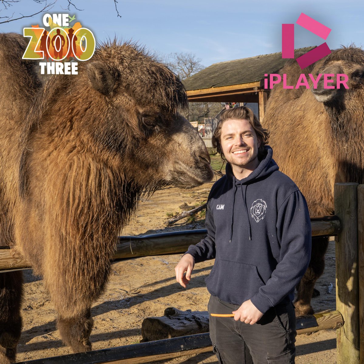 HertsZoo's tweet photo. What's coming up on One Zoo Three this week? π
Cam, Tyler, and Aaron challenge the animals with recycled treats, and what does it take to be an animal superstar? πβοΈ
You can watch it now on BBC iPlayer https://t.co/41IBk7vD5D
#onezoothree #wildlife #paradisewildlifepark https://t.co/wCTkRuhkfB
